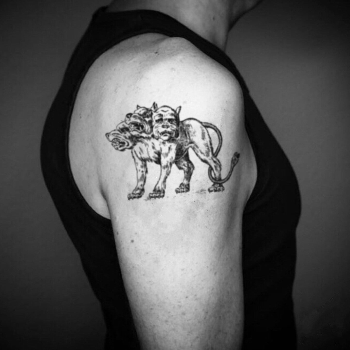 fake big cerberus three-headed dog animal temporary tattoo sticker design idea on upper arm