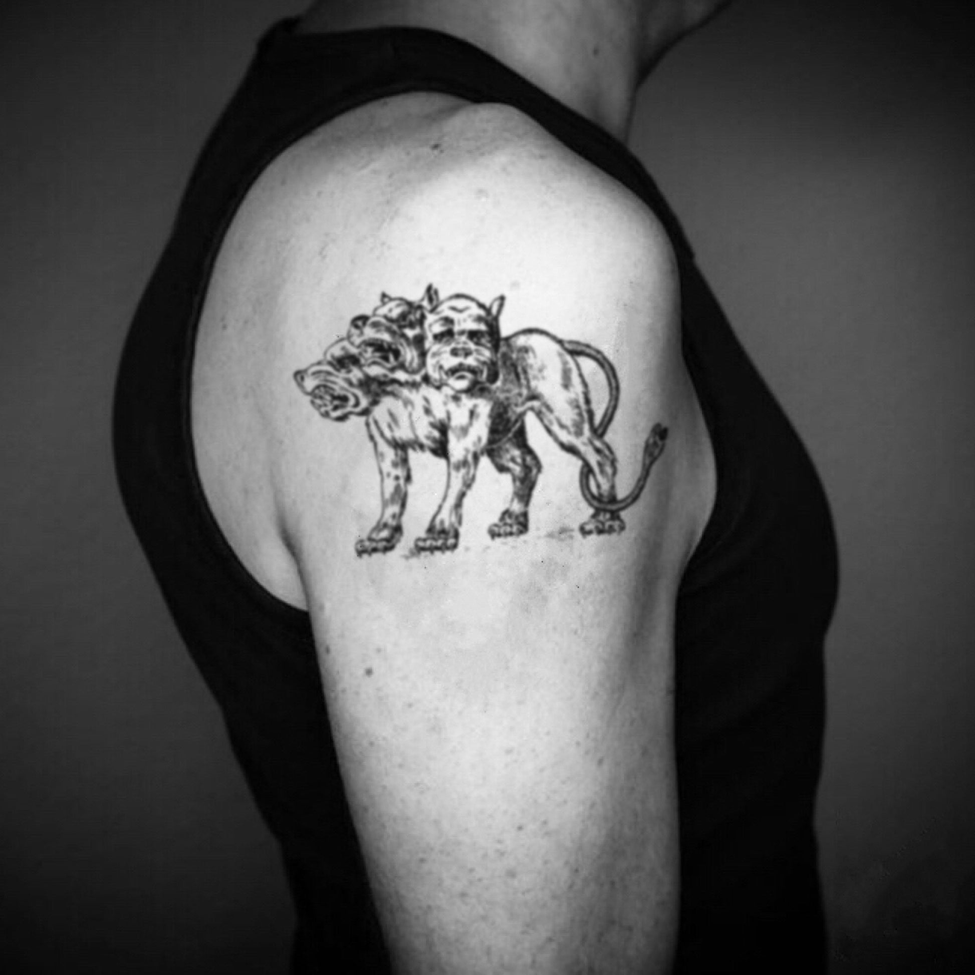 fake big cerberus three-headed dog animal temporary tattoo sticker design idea on upper arm