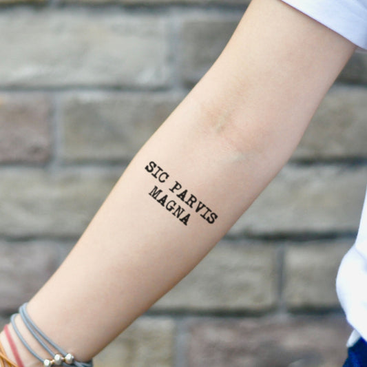 fake small sic parvis magna latin lettering temporary tattoo sticker design idea on inner arm